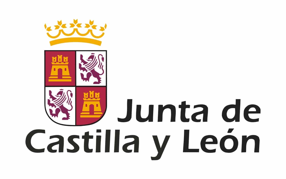 subvencion castilla leon