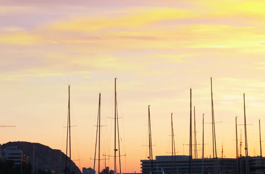 Cómo montar una SL siendo extranjero en Alicante: guía completa