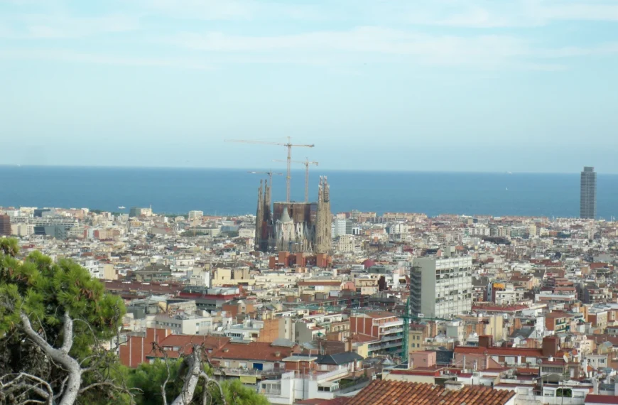 Sectores con más sociedades nuevas en Barcelona: